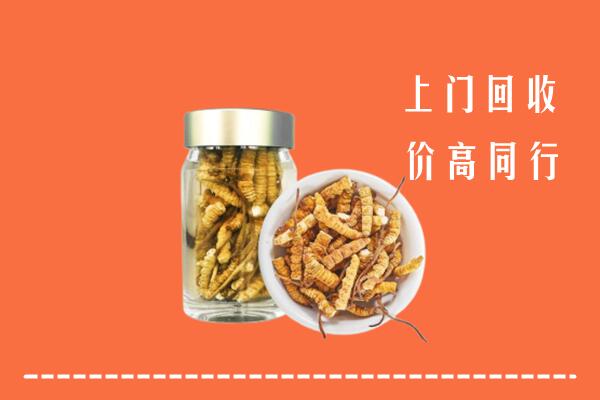 临沧市永德县高价回收冬虫夏草